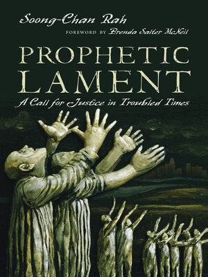 cover image of Prophetic Lament: a Call for Justice in Troubled Times